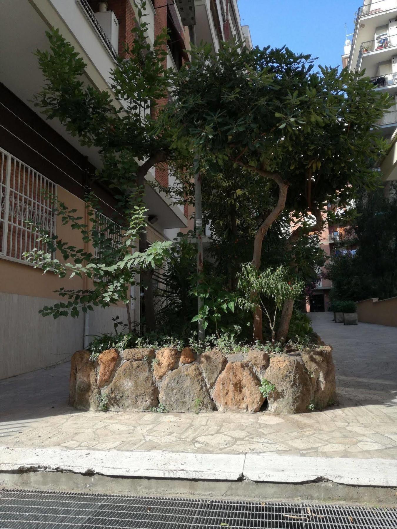 Testa Gioacchino B&B โรม ภายนอก รูปภาพ