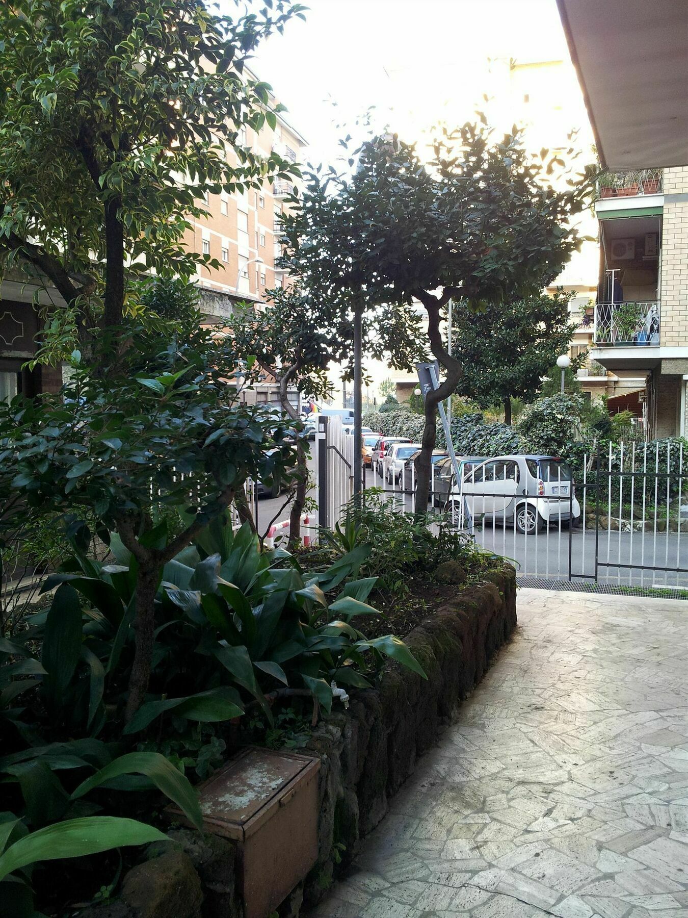 Testa Gioacchino B&B โรม ภายนอก รูปภาพ